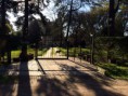 /album/fotos-del-viso/la-foto-4-jpg1/